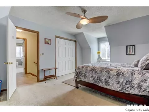 47 Shelly Dr, Springfield, IL 62702 photo 23