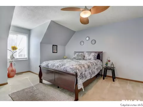 47 Shelly Dr, Springfield, IL 62702 photo 27