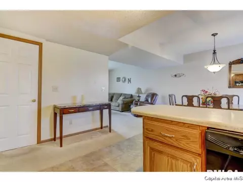 47 Shelly Dr, Springfield, IL 62702 photo 16