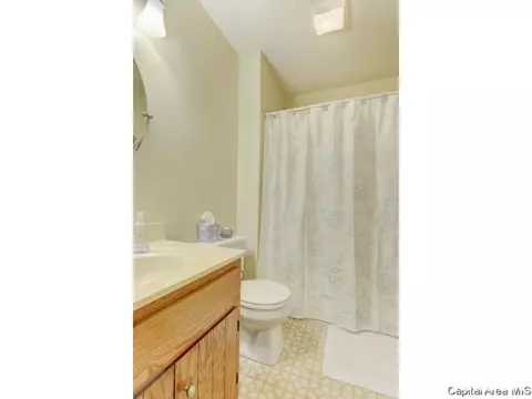 47 Shelly Dr, Springfield, IL 62702 photo 29