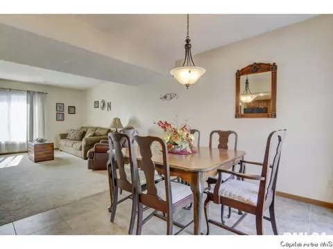 47 Shelly Dr, Springfield, IL 62702 photo 7