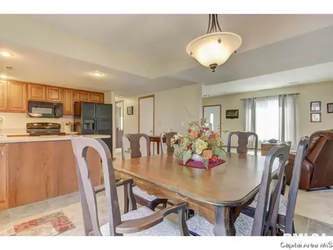47 Shelly Dr, Springfield, IL 62702 photo 15