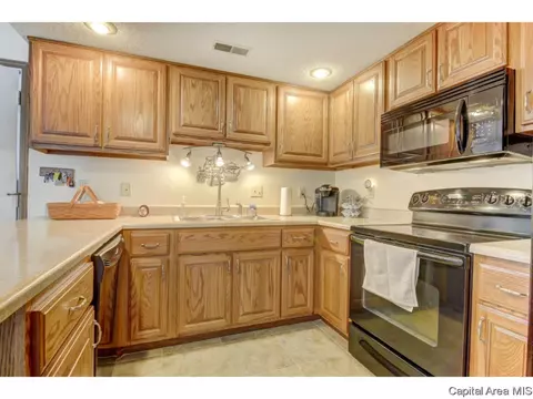 47 Shelly Dr, Springfield, IL 62702 photo 12