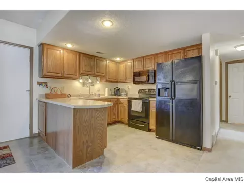 47 Shelly Dr, Springfield, IL 62702 photo 10