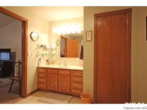112 Davinci, Springfield, IL 62703 photo 14