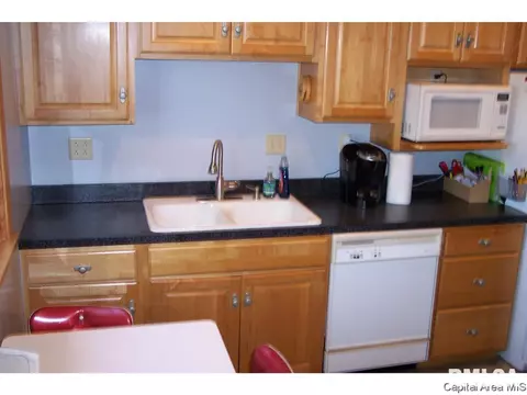 264 N Columbia, Springfield, IL 62702 photo 20