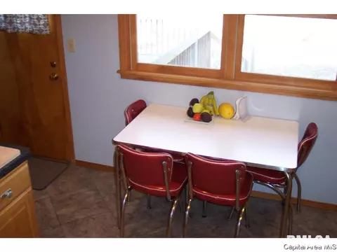 264 N Columbia, Springfield, IL 62702 photo 21