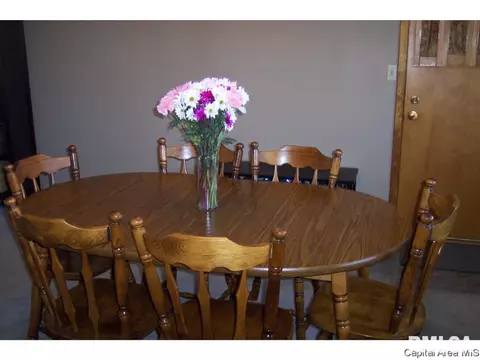 264 N Columbia, Springfield, IL 62702 photo 4