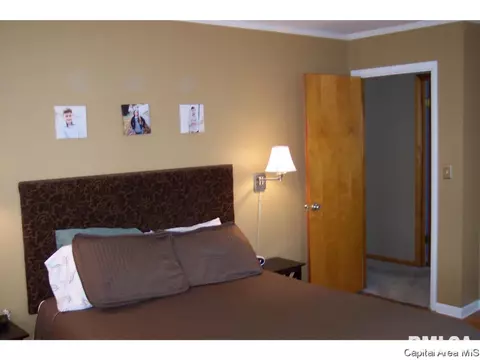 264 N Columbia, Springfield, IL 62702 photo 11