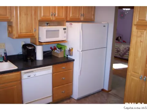 264 N Columbia, Springfield, IL 62702 photo 22