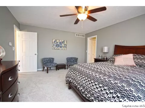508 N Durkin, Springfield, IL 62702 photo 22