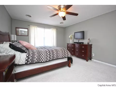 508 N Durkin, Springfield, IL 62702 photo 21
