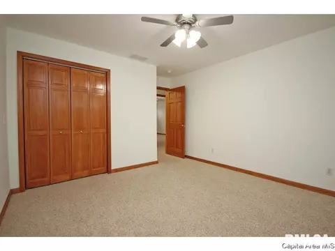 631 Willows Ave, Chatham, IL 62629 photo 18