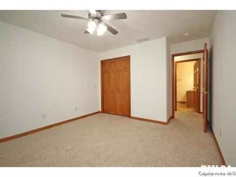 631 Willows Ave, Chatham, IL 62629 photo 16