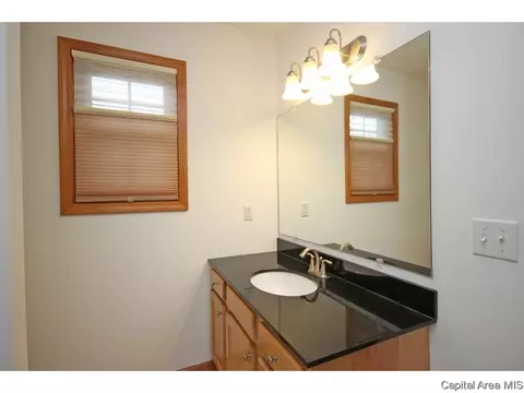631 Willows Ave, Chatham, IL 62629 photo 23