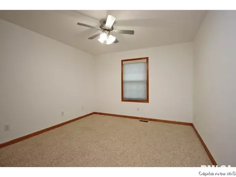 631 Willows Ave, Chatham, IL 62629 photo 17