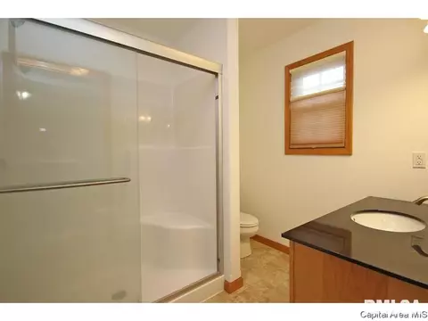 631 Willows Ave, Chatham, IL 62629 photo 22