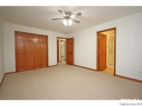 631 Willows Ave, Chatham, IL 62629 photo 10