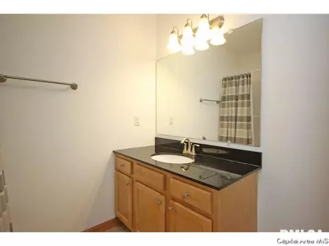 631 Willows Ave, Chatham, IL 62629 photo 15