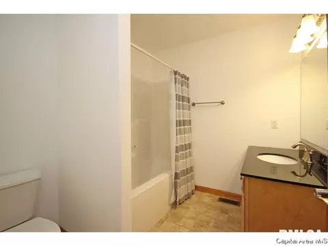 631 Willows Ave, Chatham, IL 62629 photo 14