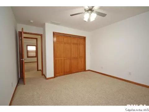 631 Willows Ave, Chatham, IL 62629 photo 19