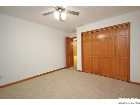 631 Willows Ave, Chatham, IL 62629 photo 21