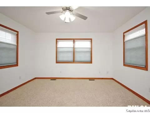 631 Willows Ave, Chatham, IL 62629 photo 9