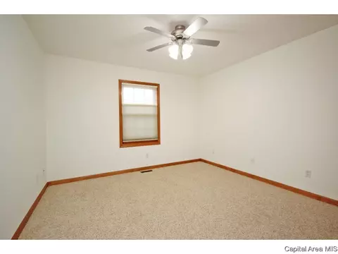 631 Willows Ave, Chatham, IL 62629 photo 20