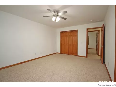 631 Willows Ave, Chatham, IL 62629 photo 11