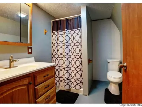 2260 Ramsey Ave, Springfield, IL 62702 photo 18