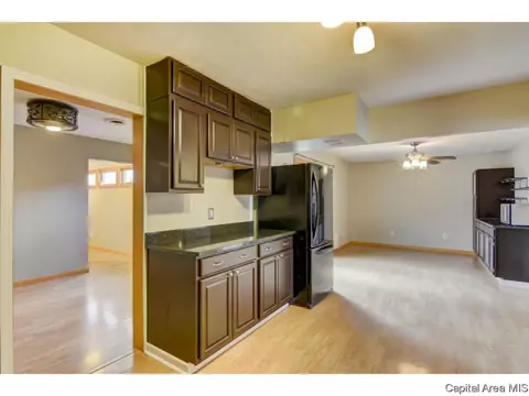 2342 E Black Ave, Springfield, IL 62702 photo 28