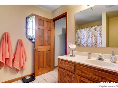 2201 Burgess, Springfield, IL 62711 photo 19