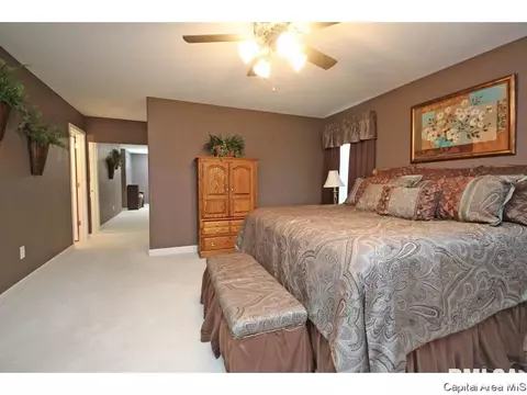 4815 Savoy Dr, Springfield, IL 62711 photo 14