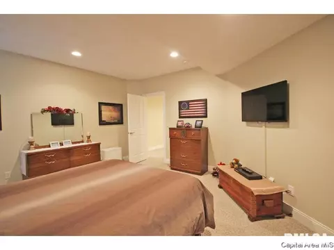 5210 E Loami Rd, Chatham, IL 62629 photo 23
