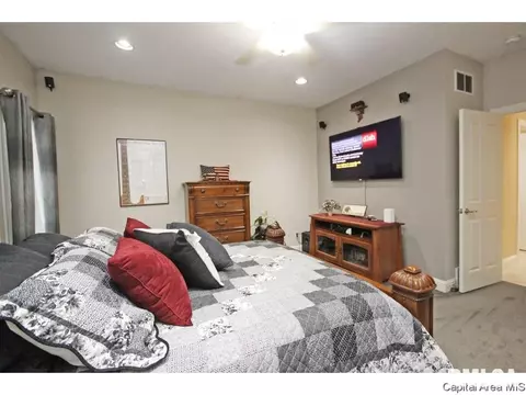 5210 E Loami Rd, Chatham, IL 62629 photo 21