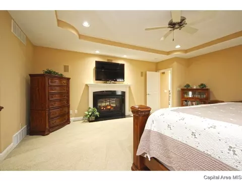 5210 E Loami Rd, Chatham, IL 62629 photo 17