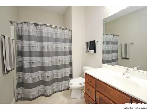 5210 E Loami Rd, Chatham, IL 62629 photo 25