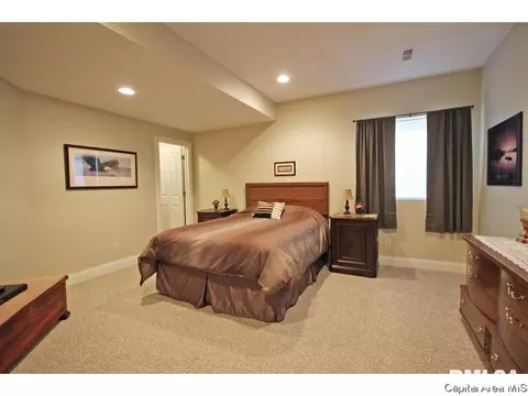 5210 E Loami Rd, Chatham, IL 62629 photo 22