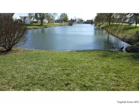3905 Mccormick, Springfield, IL 62707 photo 16