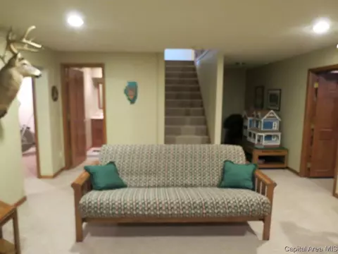 608 Sunny Brook Rd, Springfield, IL 62702 photo 23