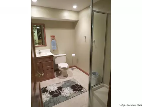 608 Sunny Brook Rd, Springfield, IL 62702 photo 26