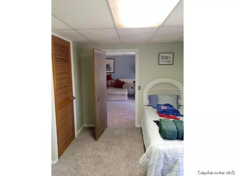 45 Frontier Lake Dr, Springfield, IL 62707 photo 35