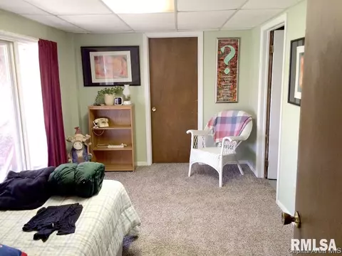 45 Frontier Lake Dr, Springfield, IL 62707 photo 34