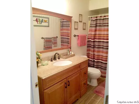 45 Frontier Lake Dr, Springfield, IL 62707 photo 30