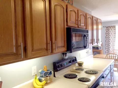 45 Frontier Lake Dr, Springfield, IL 62707 photo 22