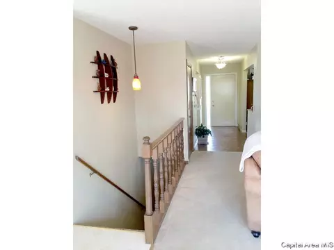 45 Frontier Lake Dr, Springfield, IL 62707 photo 19