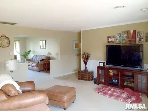 45 Frontier Lake Dr, Springfield, IL 62707 photo 15