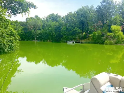 45 Frontier Lake Dr, Springfield, IL 62707 photo 9