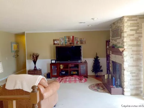 45 Frontier Lake Dr, Springfield, IL 62707 photo 16