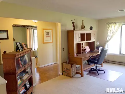 45 Frontier Lake Dr, Springfield, IL 62707 photo 14